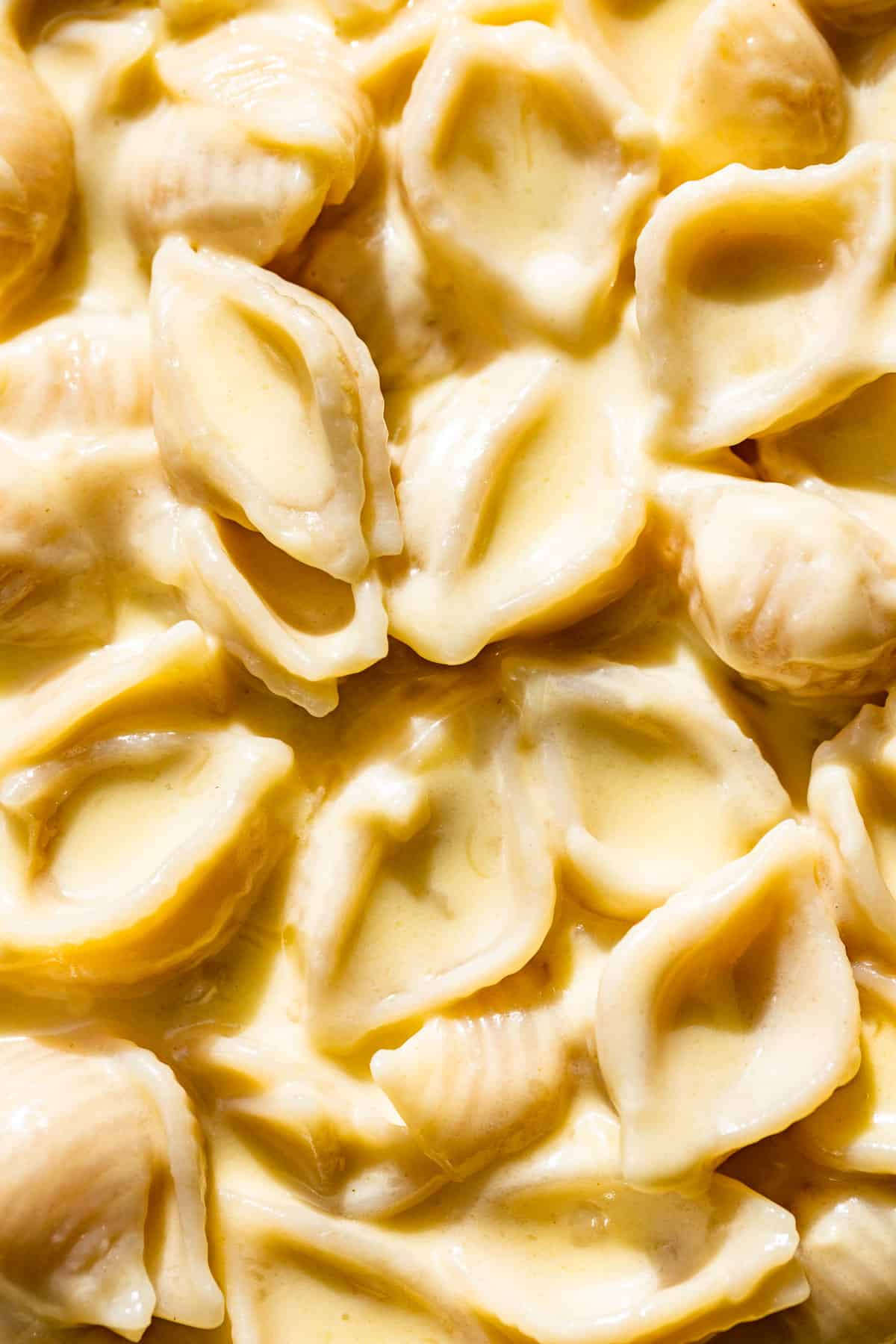 Close up macro view of Gluten Free Mac and Cheese.