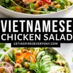 Pin image for Vietnamese Chicken Salad.