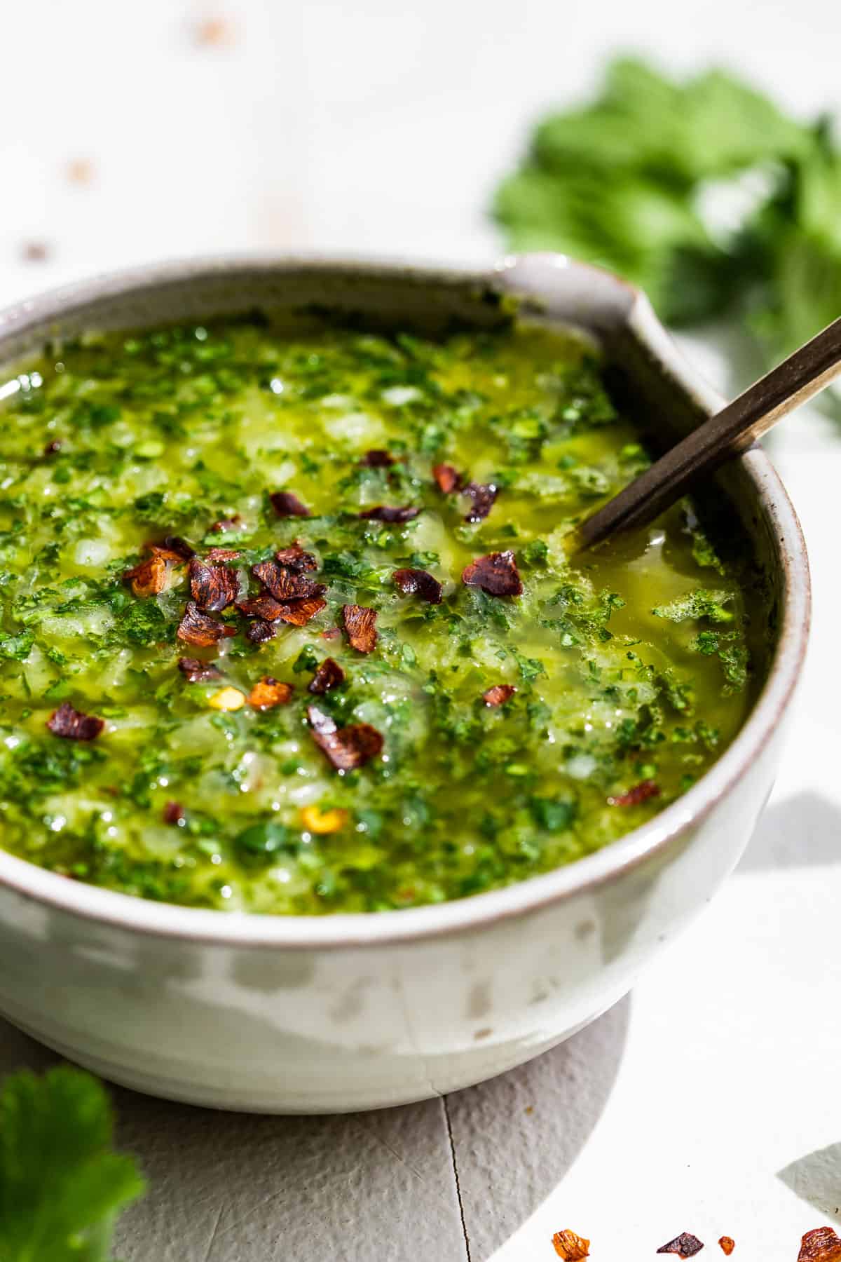 Side view of Cilantro Chimichurri in a pottery bowl with cilantro sprigs on the side.