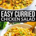 3rd Pin image for Curried Chicken Salad.