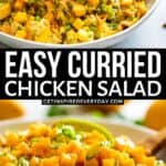 2nd Pin image for Curried Chicken Salad.