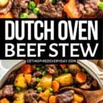 2nd Pin image for Dutch Oven Beef Stew.
