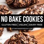 2nd Pin image for Healthy No Bake Cookies.
