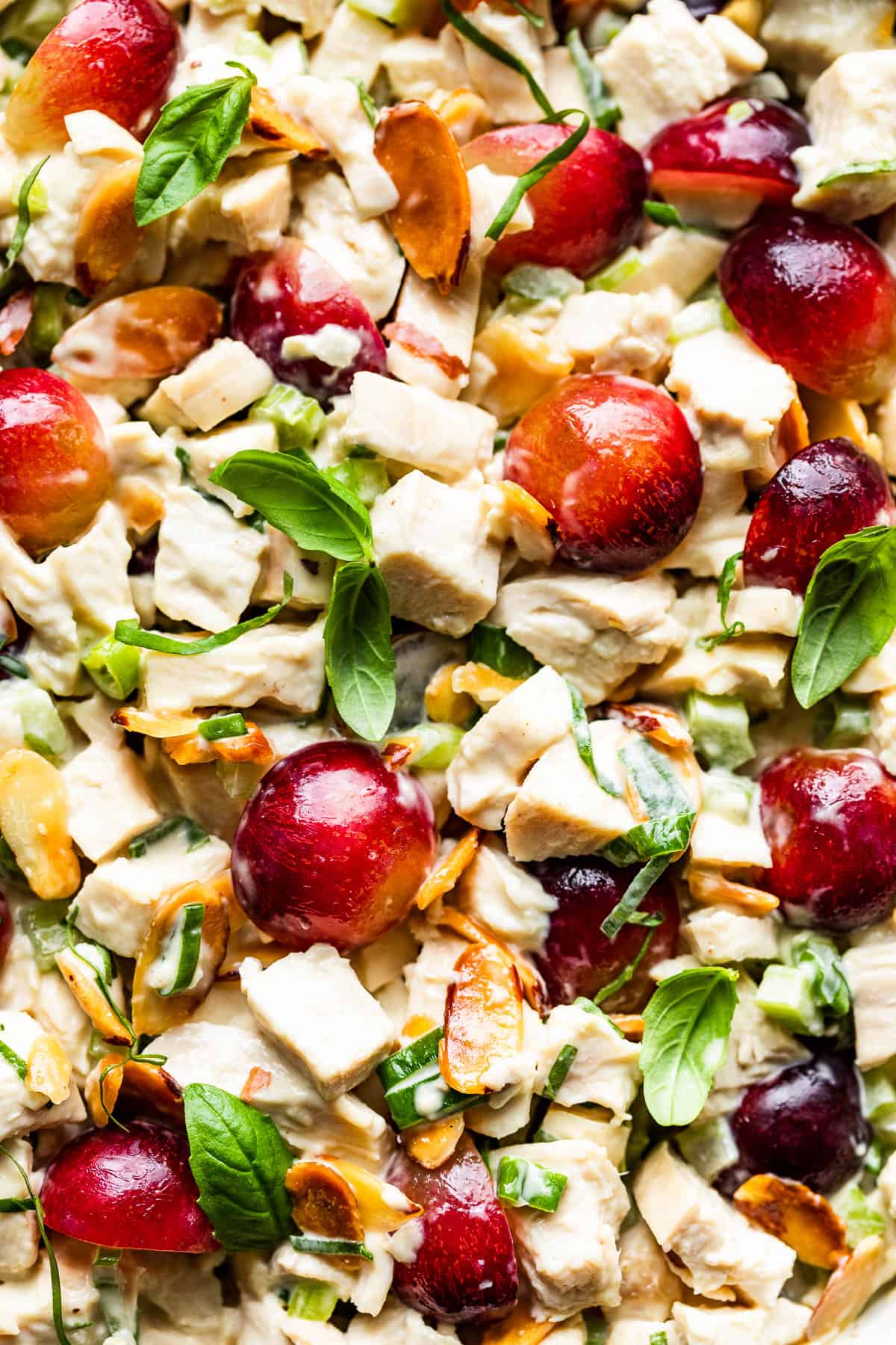 Close up macro view of chicken salad with grapes on top.