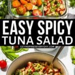 2nd Pin image for Spicy Tuna Salad.