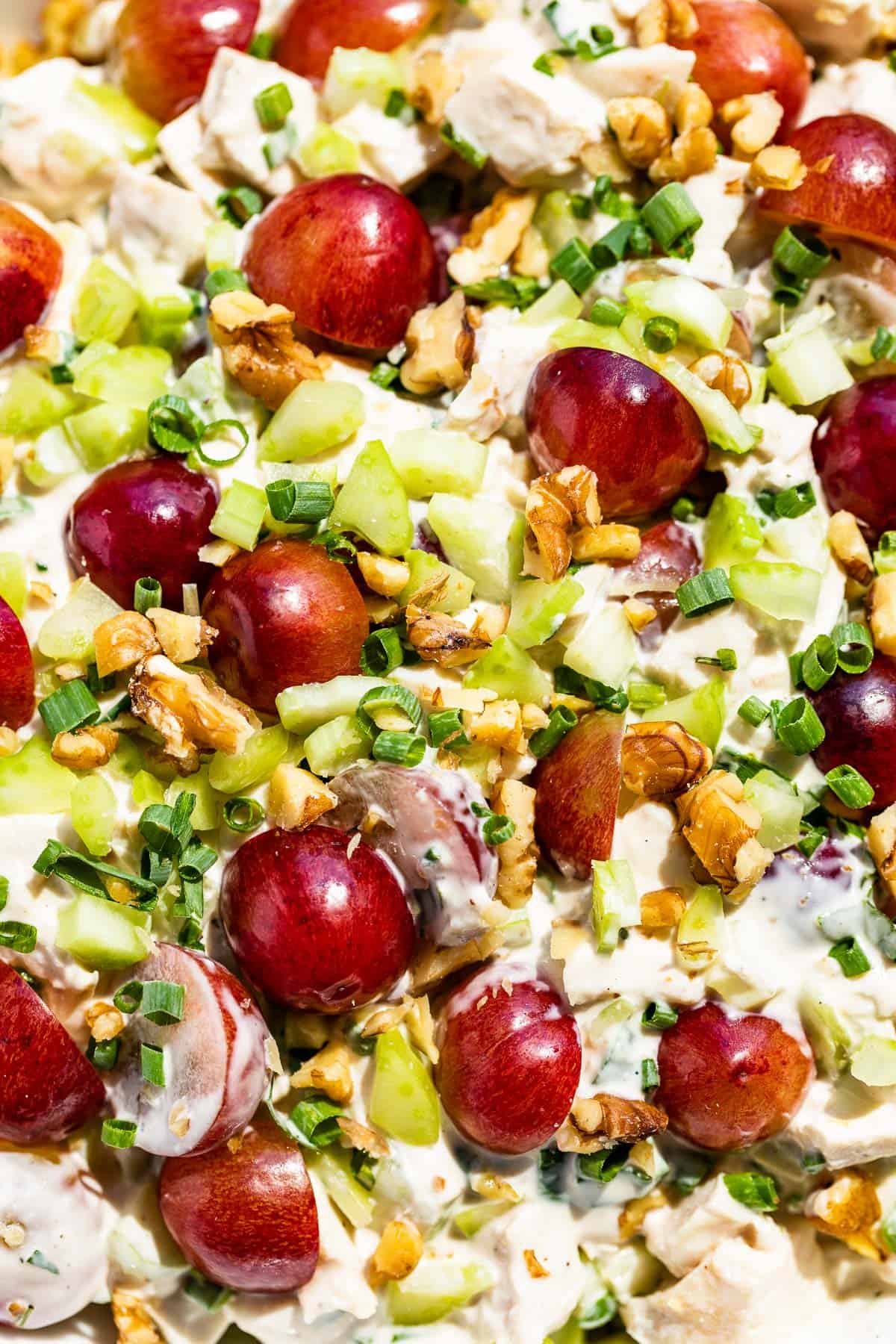 Close up macro view of Healthy Chicken Salad topped with halved grapes, diced celery, and sliced green onions.