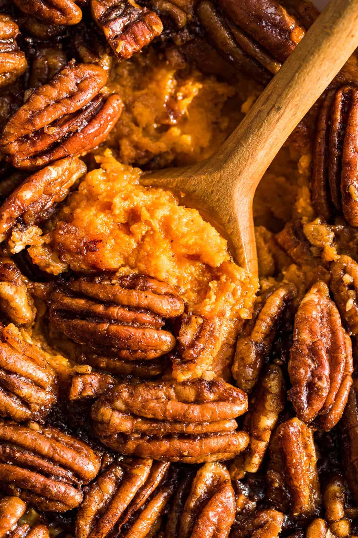 Close up of a wood spoon scooping out sweet potato and caramelized pecans out of the casserole.