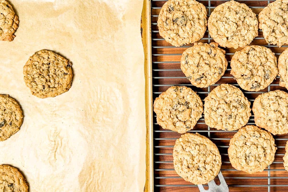 Moving the baked oatmeal raisin cookies from the baking sheet to a cooling rack with a metal spatula.