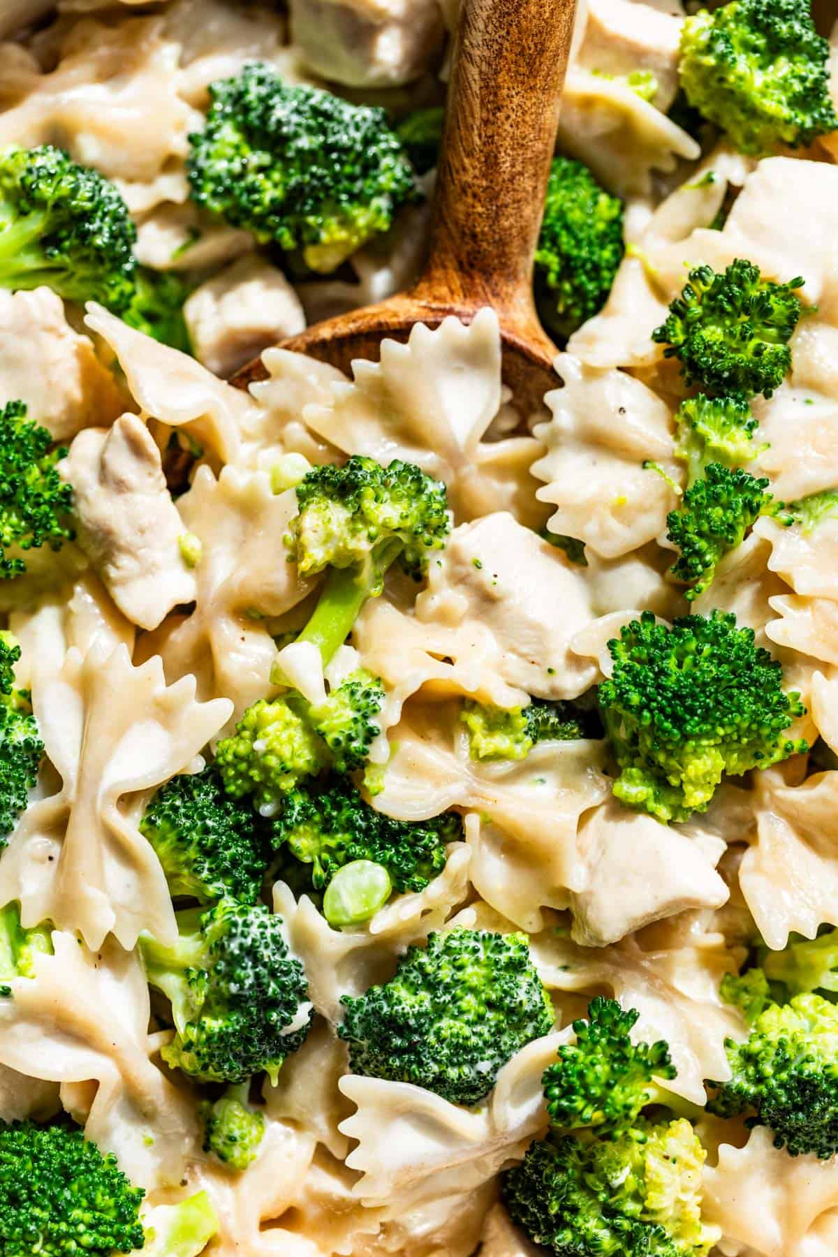 Close up of the bowtie pasta, chicken, and broccoli in a creamy sauce.