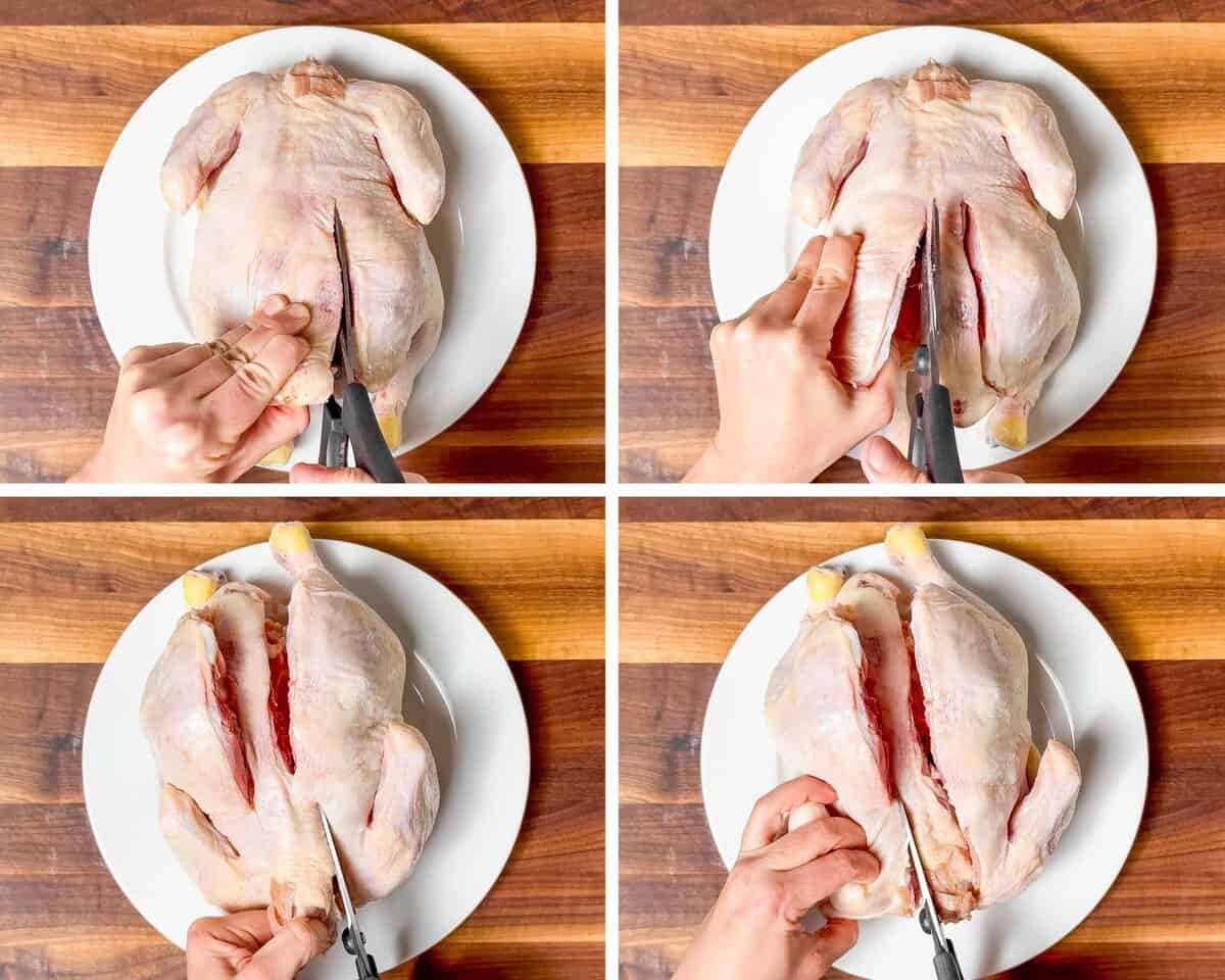 Four pictures put together in a grid to show cutting the backbone out of the chicken with a pair of kitchen shears.