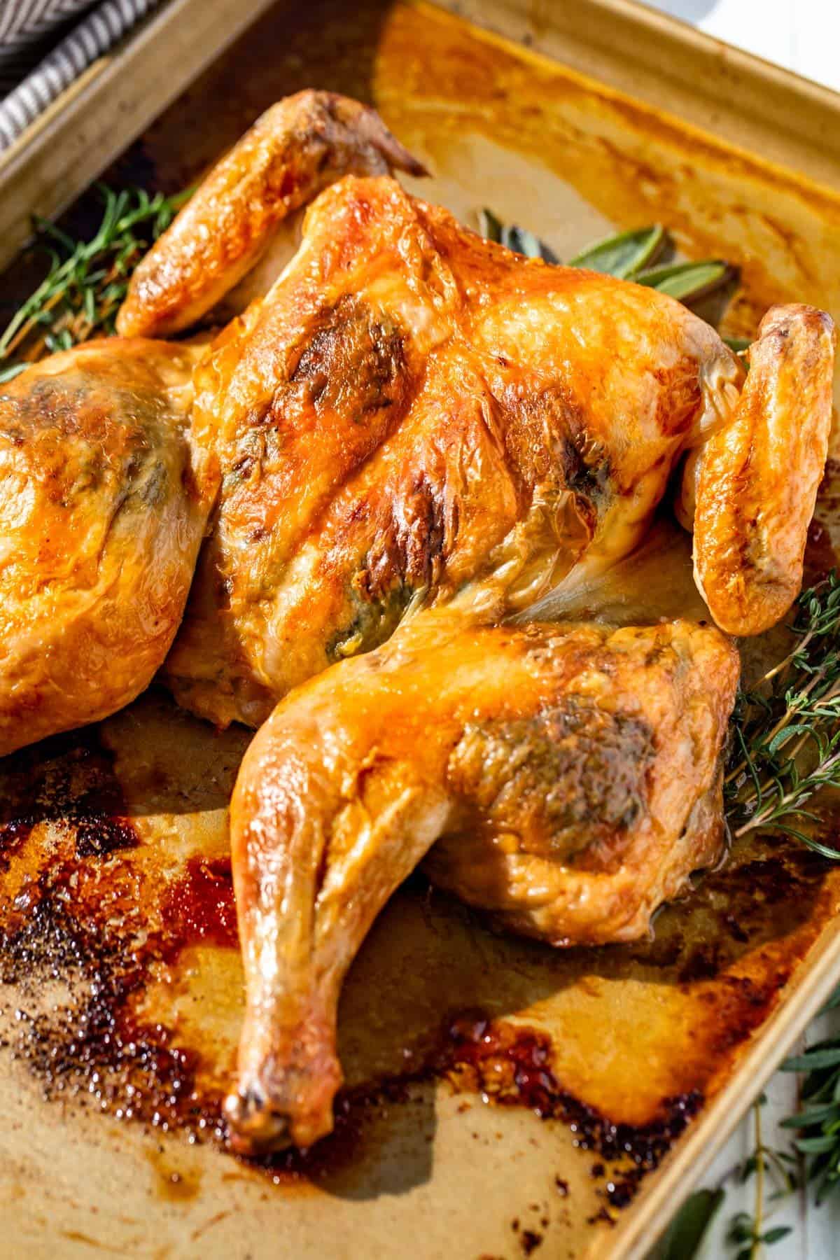 Close view of a roasted spatchcock chicken on a gold baking sheet.