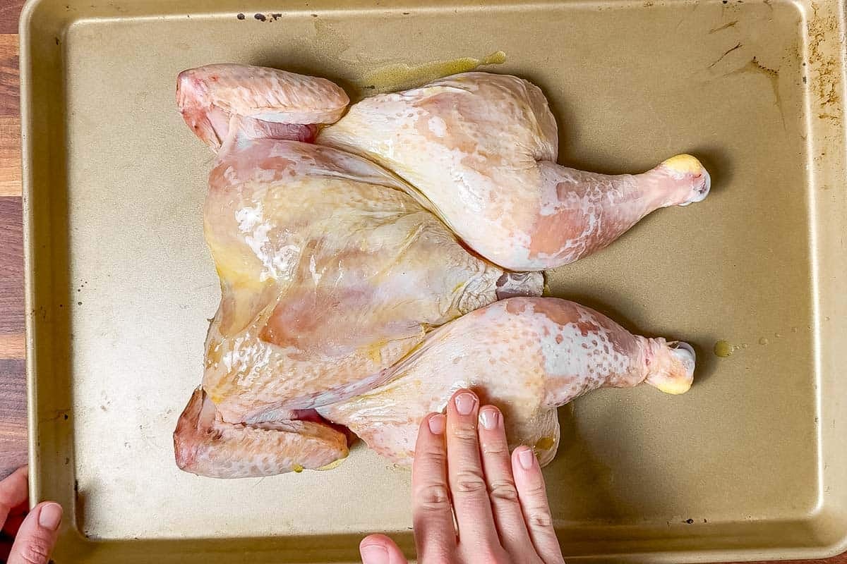 Rubbing the dry brined spatchcock chicken with oil on a cookie sheet.