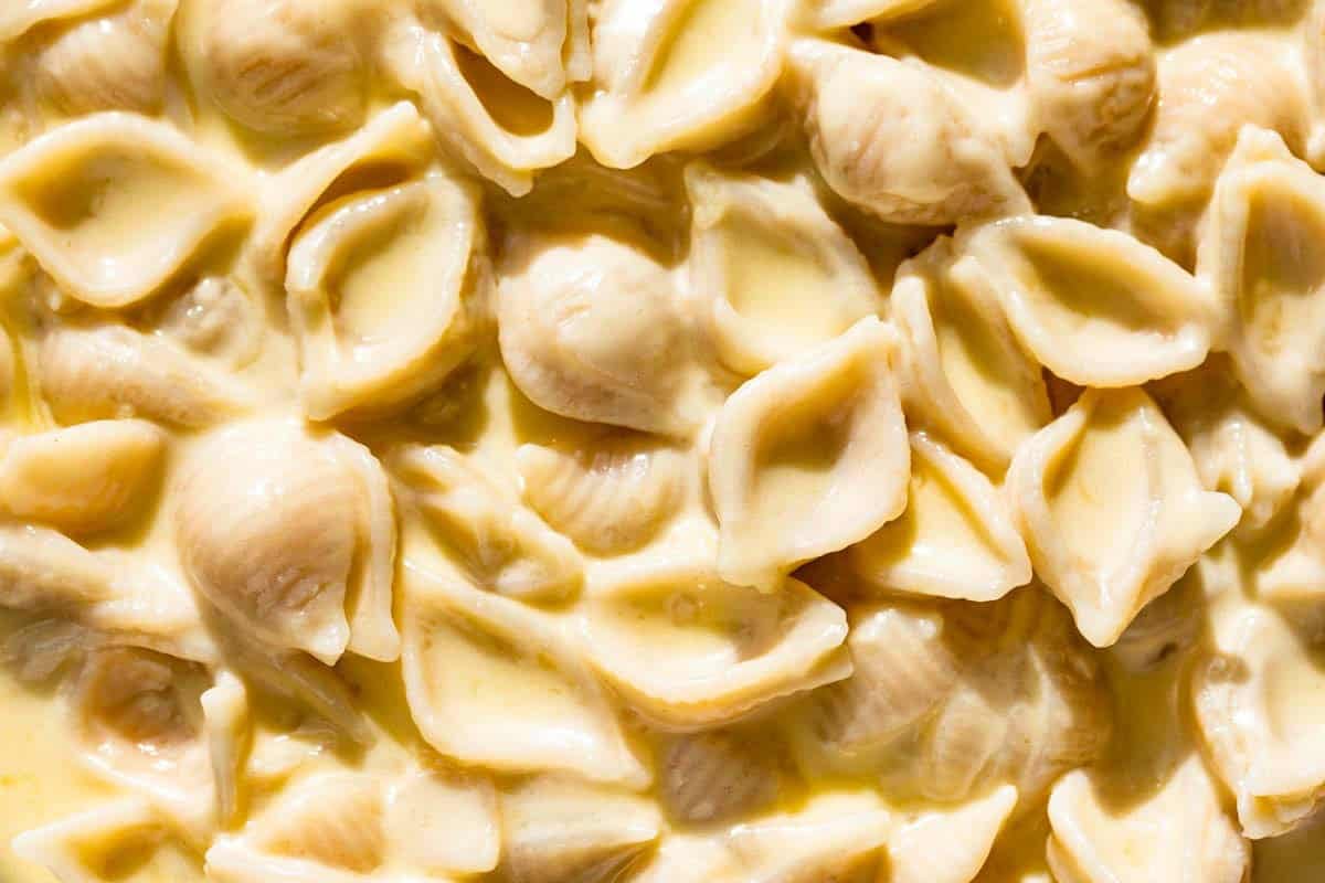 Mac and cheese with a white cheddar sauce and shell noodles.